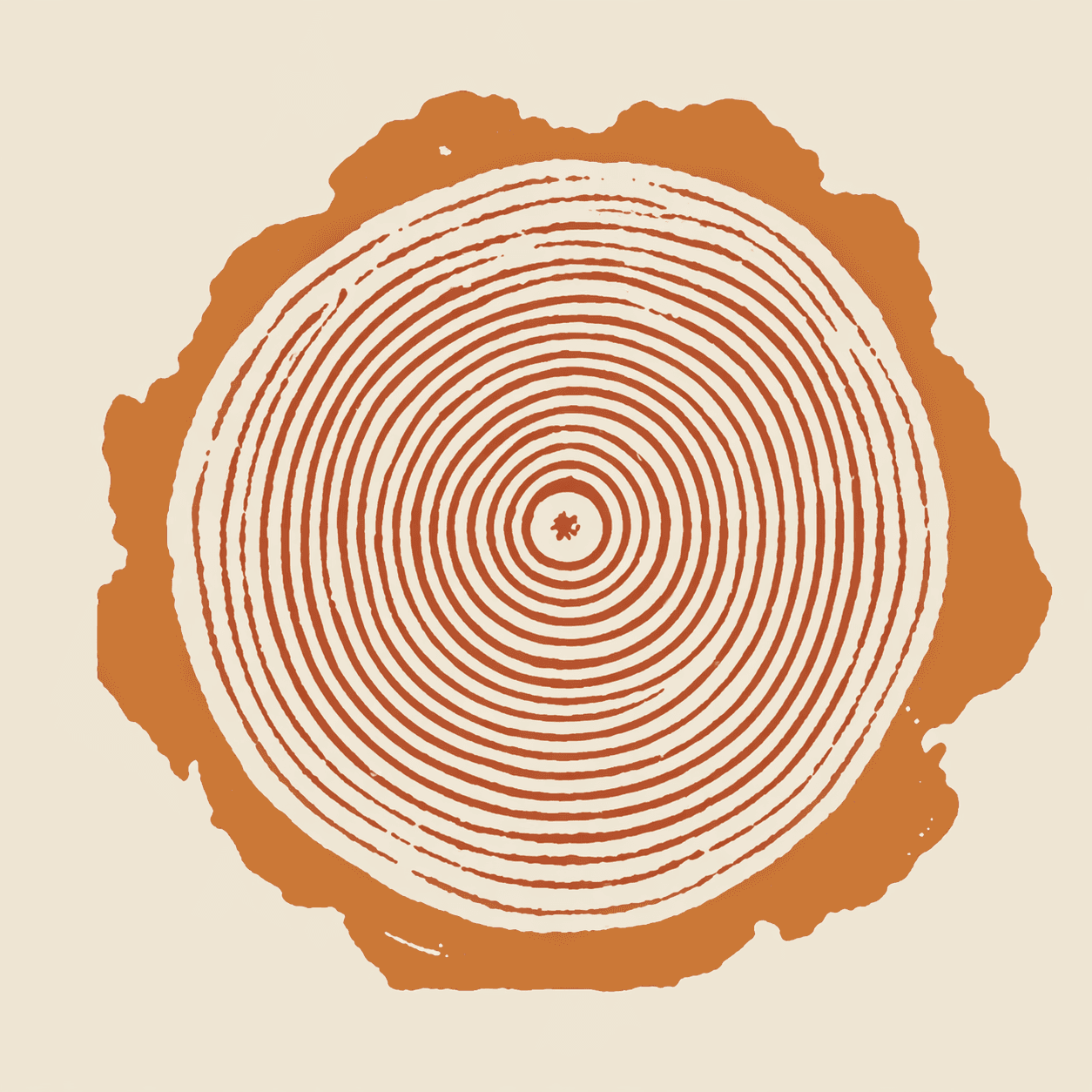 Ponderosa Pine